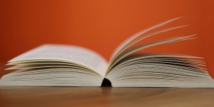 Read more about the article The Next Chapter